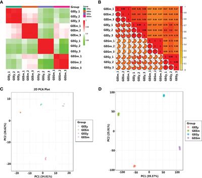 Insights into the nutritional properties and molecular basis of biosynthesis of amino acids and vitamins of Gastrodia elata offered by metabolomic and transcriptomic analysis